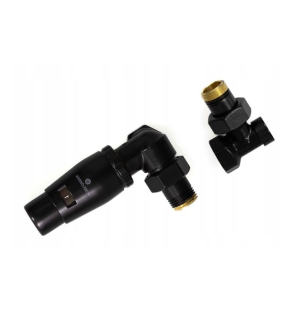 MINI Standard thermostatic valves Schlosser axial right black RAL 9005 matt head on supply